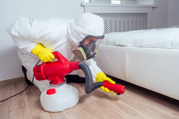 Best Pest Exclusion Services  in Bloomington, CA